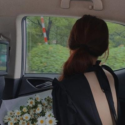 尸速列车:感染半岛