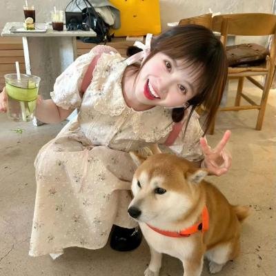 神龙飞侠
