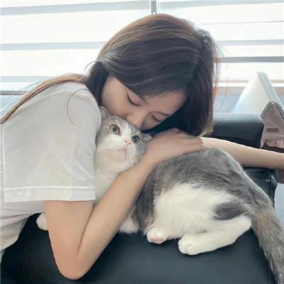 丢羊